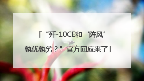 “歼-10CE和‘阵风’孰优孰劣？”官方回应来了